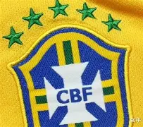 巴西队夺冠路：女足队员挑战国际杯决赛的简单介绍