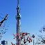 包含女神马略卡客场取胜，重返积分榜第一！的词条